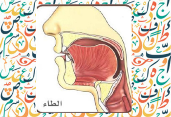letter taa ط