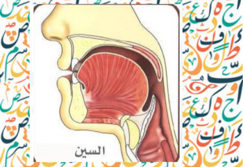letter sin س