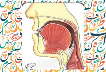 arabic alphabet Letter za  ز