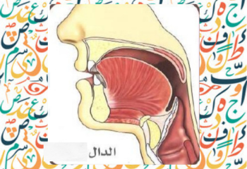 letter dal د and dhal ذ
