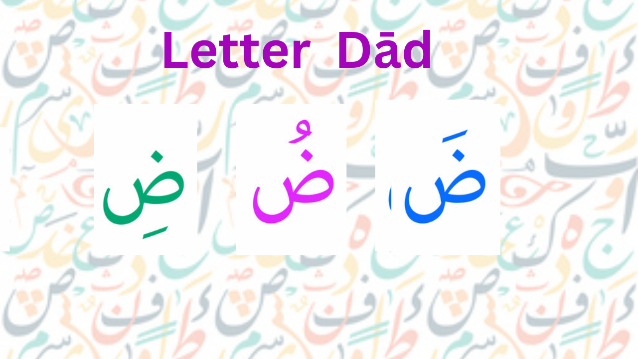 letter daad